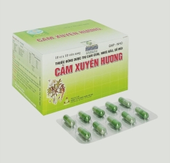 Cảm xuyên hương ( hộp 10 vỉ x 10 viên )