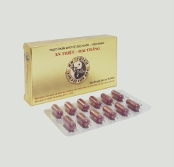 Đại tràng An Triệu ( hộp 2 vỉ x 12 viên )