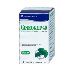 Thuốc Ginkokup 40mg 